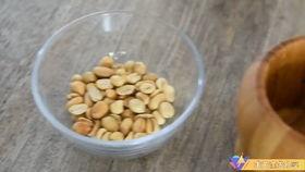 仙人球吃瓜娱乐,瓜果乐园的奇幻之旅  第3张