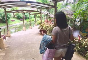 缘分娱乐吃瓜  第3张