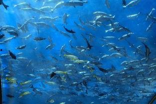 一线吃瓜娱乐圈by海底 第1张 一线吃瓜娱乐圈by海底 第1张