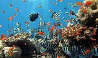 一线吃瓜娱乐圈by海底 第2张 一线吃瓜娱乐圈by海底 第2张