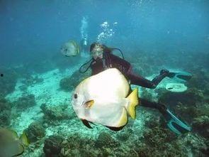 一线吃瓜娱乐圈by海底 第3张 一线吃瓜娱乐圈by海底 第3张